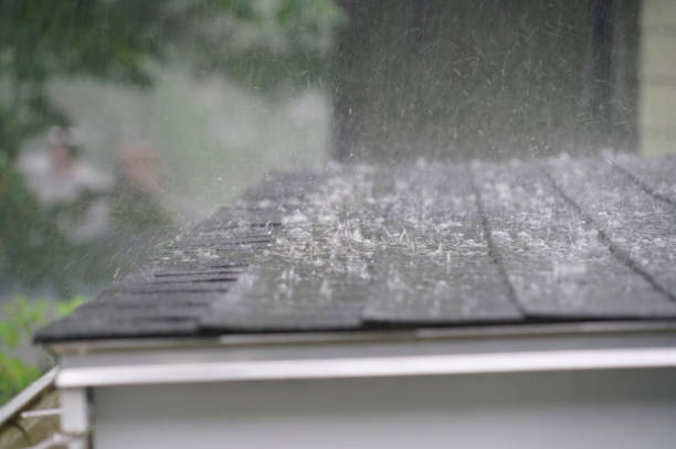 Best Storm Damage Roof Repair  in Elwood, IL